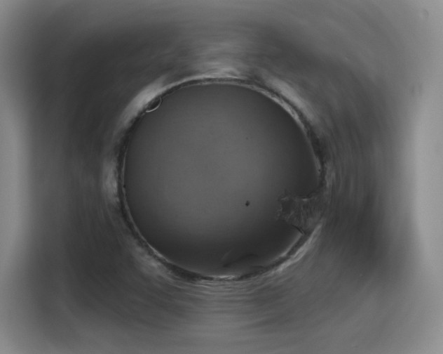 X0000115381455200911101256