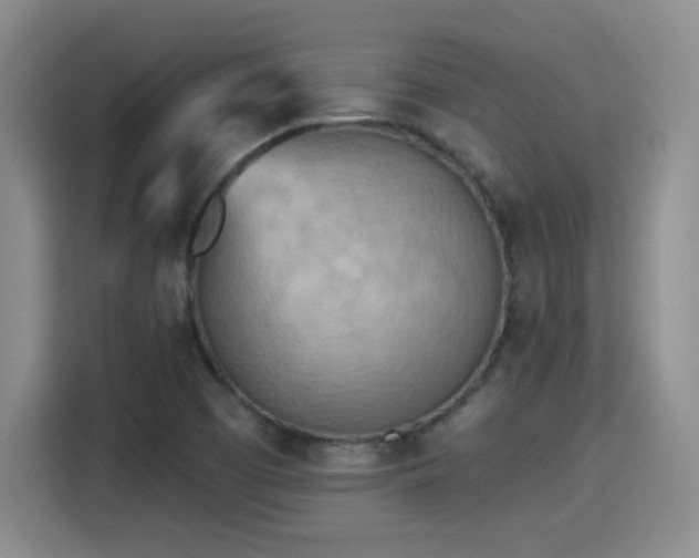 X0000115381457200911101256