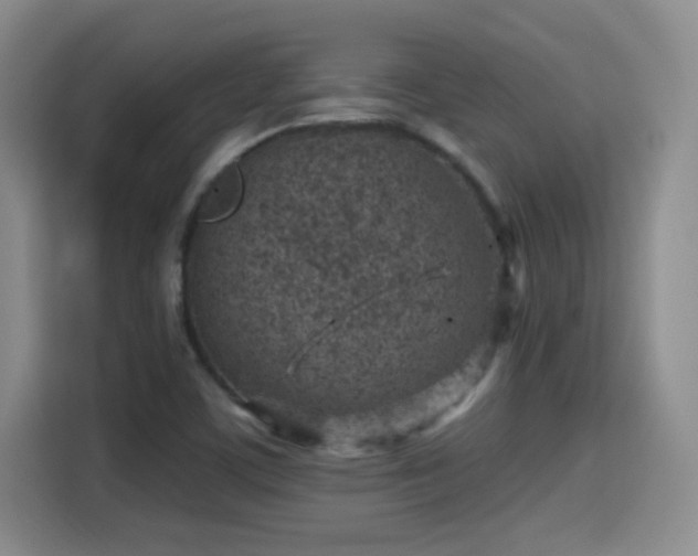 X0000115381459200911101256