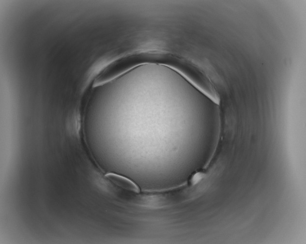 X0000115381461200911101256