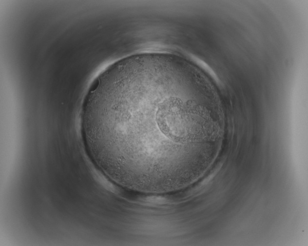 X0000115381463200911101256