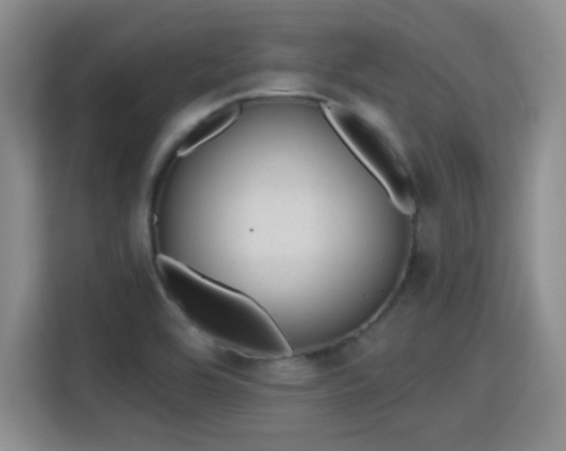 X0000115381464200911101256