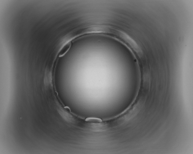 X0000115381465200911101256