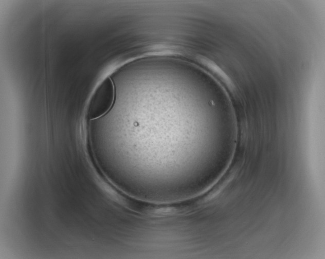 X0000115381467200911101256