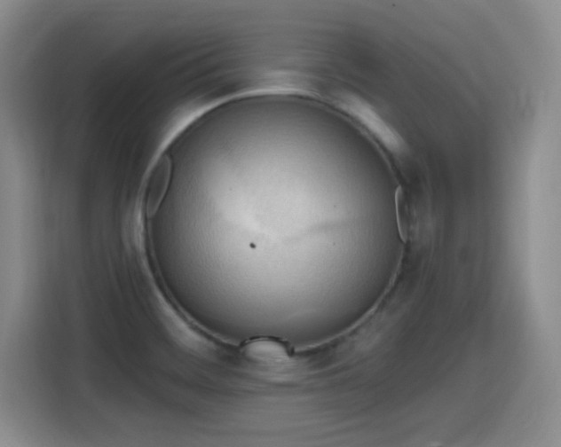 X0000115381468200911101256