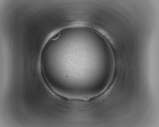 X0000115381469200911101256