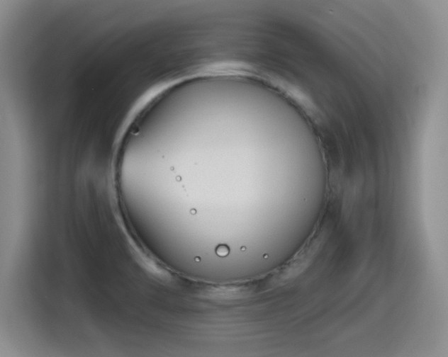 X0000115381470200911101256