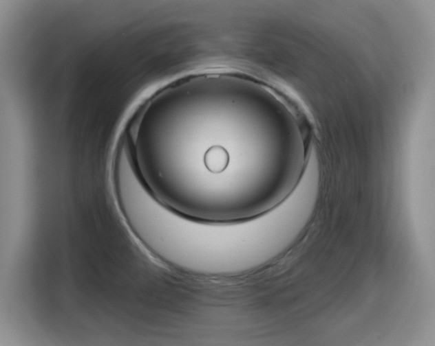 X0000115381472200911101256