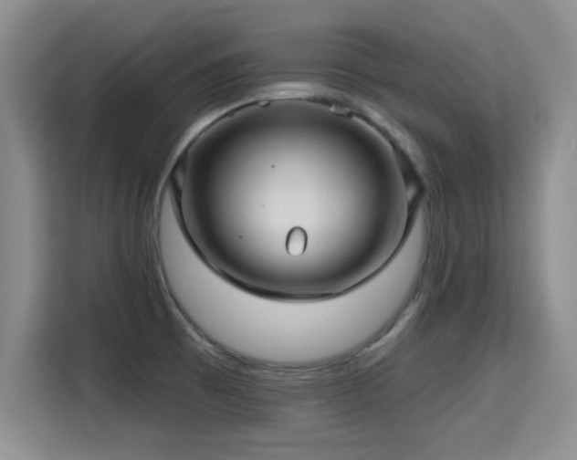 X0000115381473200911101256