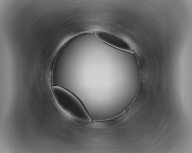 X0000115381476200911101256