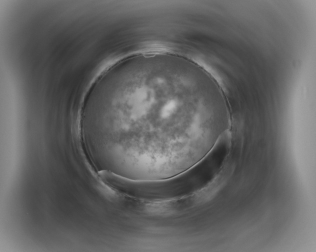 X0000115381477200911101256