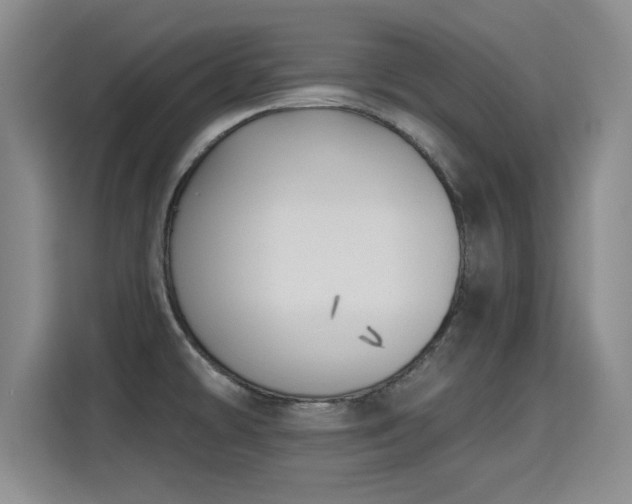 X0000115381478200911101256