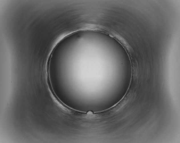 X0000115381479200911101256