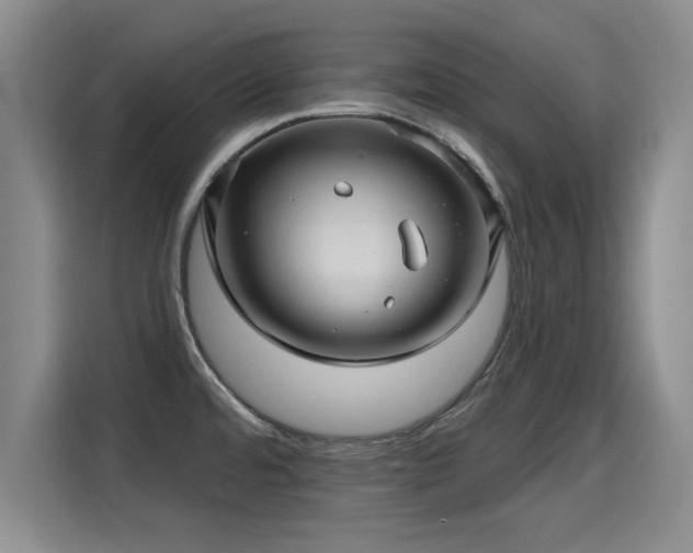 X0000115381480200911101256