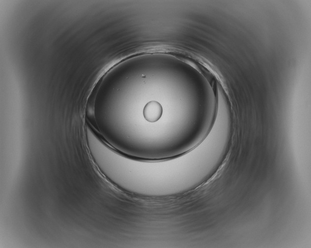 X0000115381481200911101256