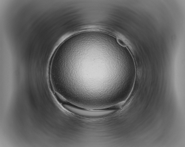 X0000115381482200911101256