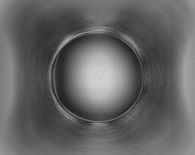 X0000115381483200911101256