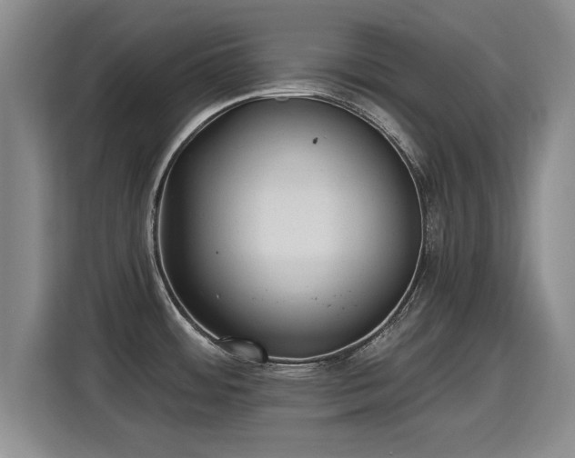 X0000115381484200911101256