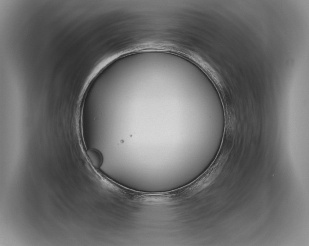 X0000115381486200911101256