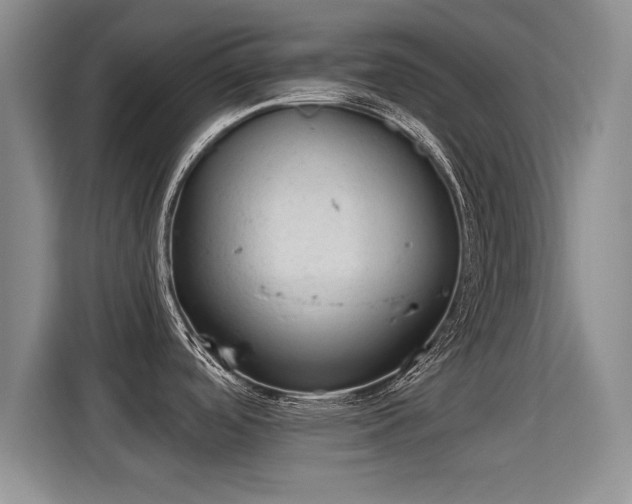 X0000115381488200911101256