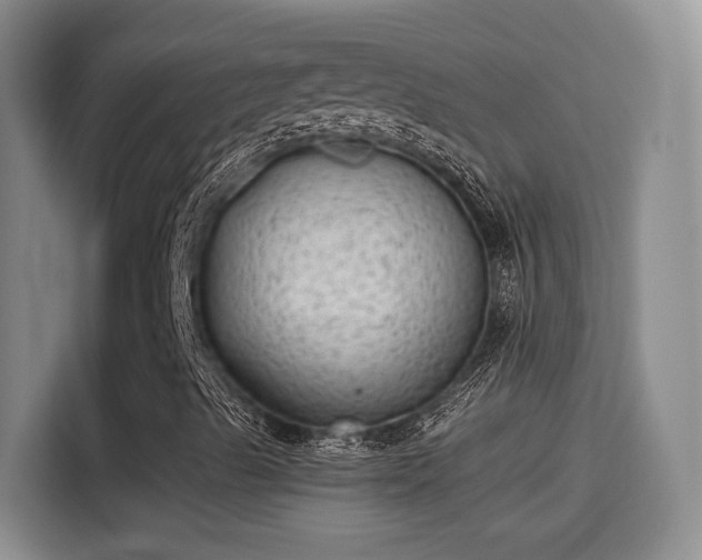 X0000115381489200911101255