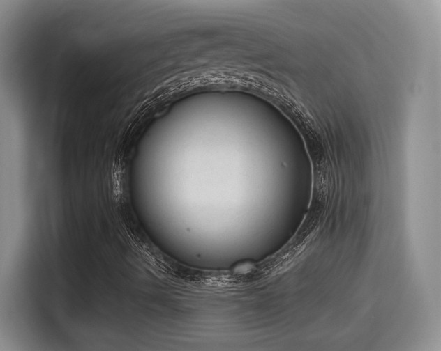 X0000115381490200911101255