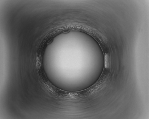 X0000115381491200911101255