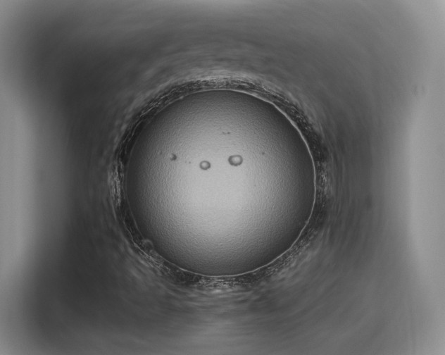 X0000115381493200911101255