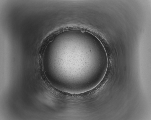 X0000115381494200911101255