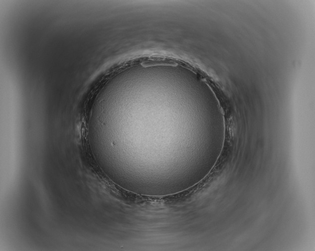 X0000115381495200911101256