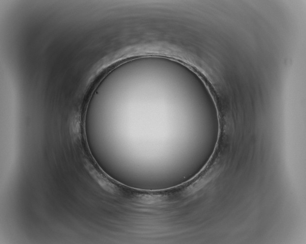 X0000115381499200911101256