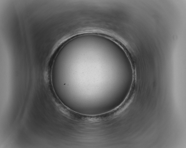 X0000115381501200911101256