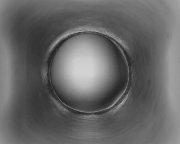 X0000115381502200911101256