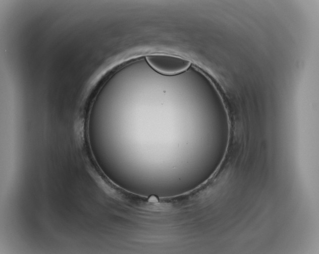 X0000115381503200911101256
