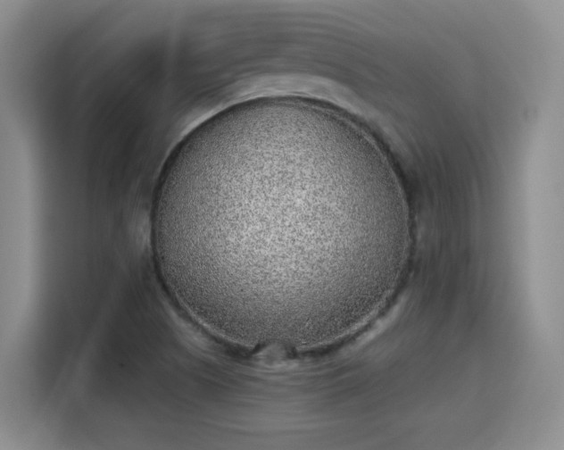 X0000115381505200911101256