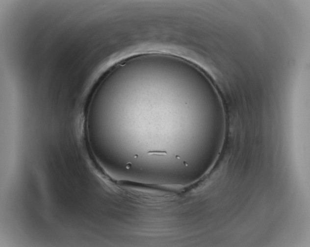 X0000115381507200911101256