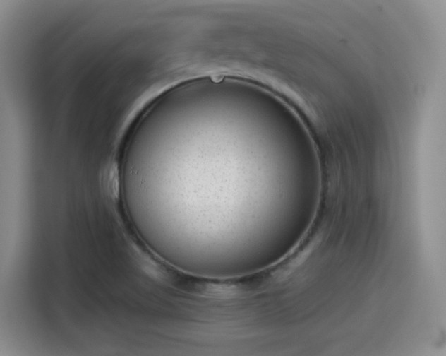 X0000115381509200911101256
