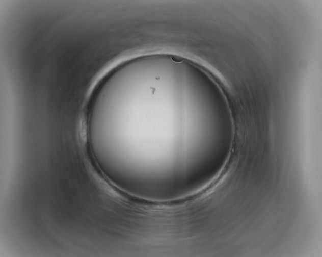 X0000115381510200911101256