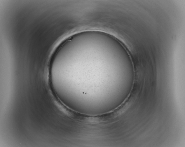 X0000115381511200911101256