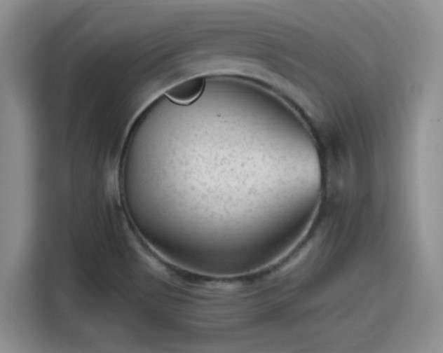X0000115381513200911101256