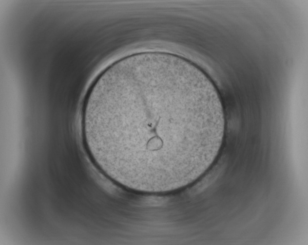 X0000115381514200911101256