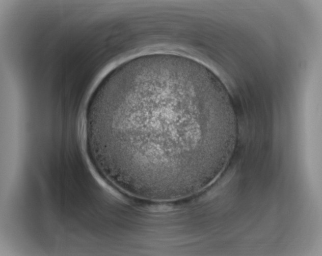 X0000115381515200911101256