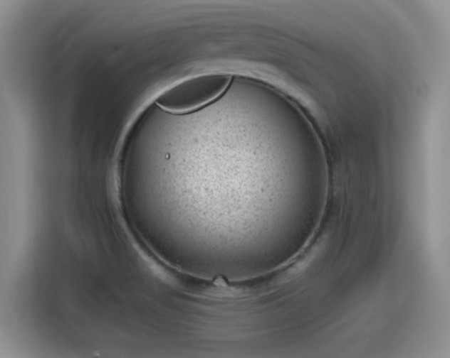 X0000115381517200911101256
