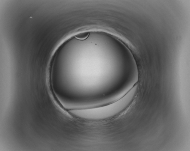 X0000115381518200911101256