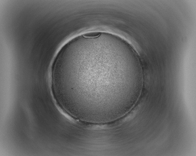 X0000115381519200911101256