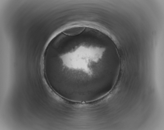 X0000115381522200911101256