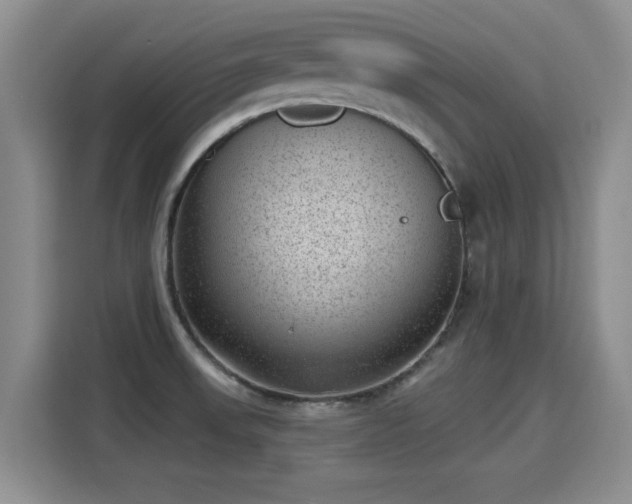 X0000115381523200911101256