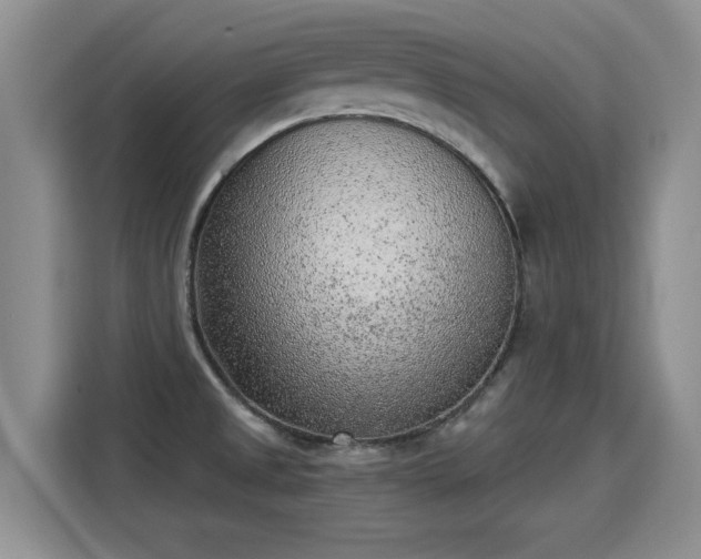 X0000115381525200911101256