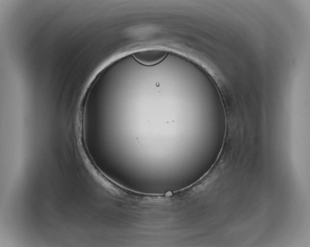 X0000115381526200911101256