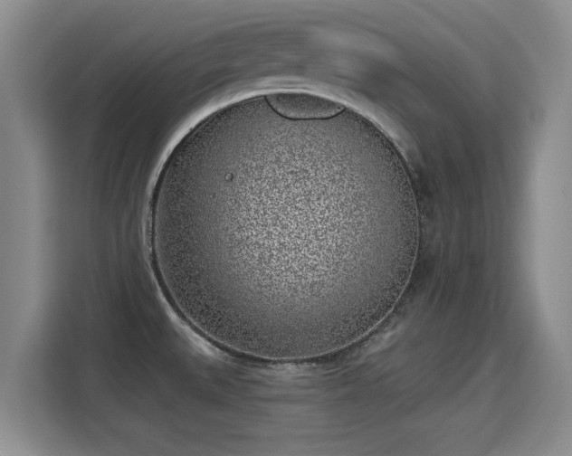 X0000115381527200911101256